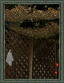 Lattice and netting